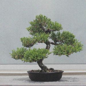 TIME (feat. slayn stacy & 2014character) (Explicit)