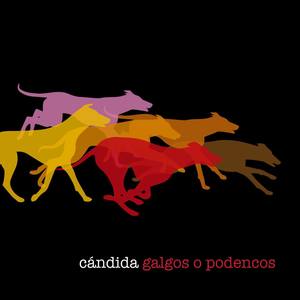 Galgos o podencos