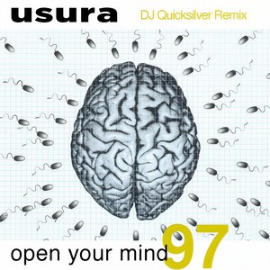 Open Your Mind (DJ Quicksilver Radio Edit)