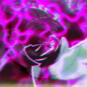 Seddy Flow (Explicit)