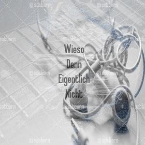 Wieso Denn Eigentlich Nicht (Explicit)