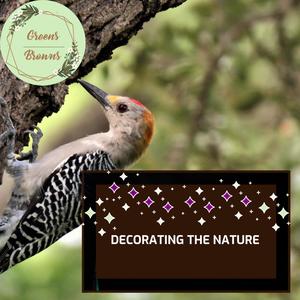 Decorating The Nature