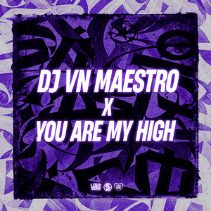 Dj Vn Maestro X You Are My High (Explicit)