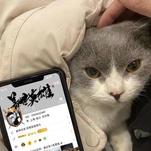 单车 (DJ版)