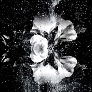 Svatovat (Cântec de petrecere al mirilor) (Alex Halka Remix)