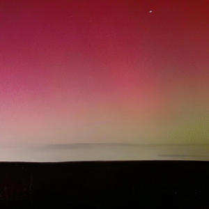 Come Back To The Coast (Explicit)