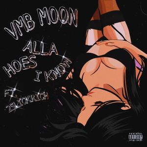 Alla Hoes I Know (feat. 2SlickRich) [Explicit]