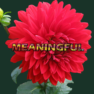 Meaningful - EP