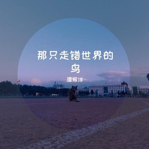 那只走错世界的鸟 (Demo)