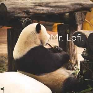 Mr.Lofi.
