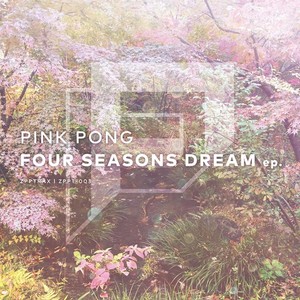 SUMMER DREAM