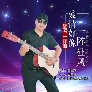 爱情好像一阵狂风 (DJ版)