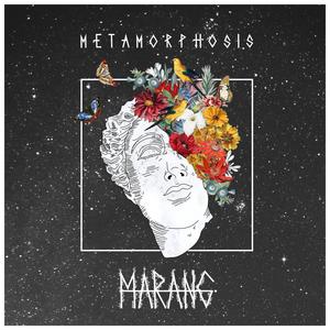 Vander (feat. Anup Sastry)