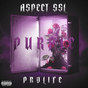 Purple (Explicit)