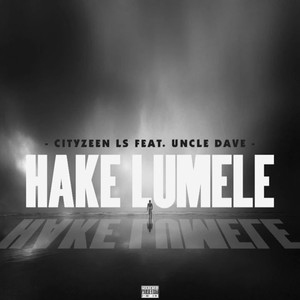 Cityzeen LS - Hake Lumele