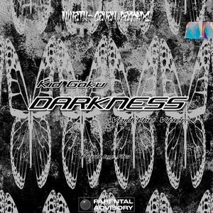 Darkness (feat. Void the Viper) [Radio Edit]