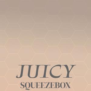 Juicy Squeezebox