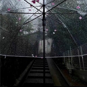 也许这就是生活雨江阿表