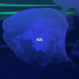 NDE