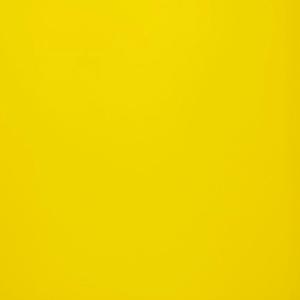 FLEXXXED UP(FREESTYLE)