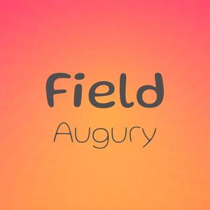 Field Augury