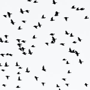 Missing You (feat. Zen Dojo & Stella Fetucci)