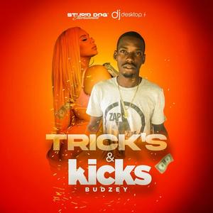 Tricks & Kicks (feat. Dj Desktop)