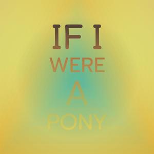 If I Were a Pony