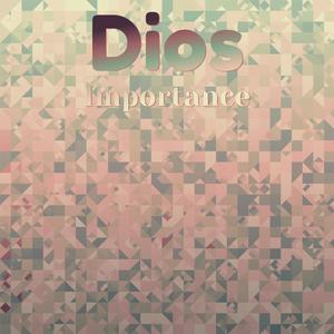 Dios Importance
