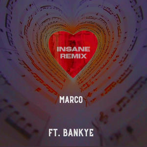 insane (feat. Bankye) [Remix] [Explicit]