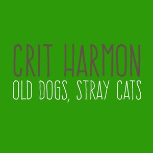 Old Dogs, Stray Cats