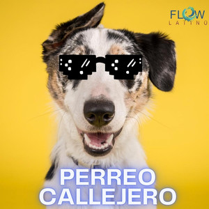 Perreo Callejero