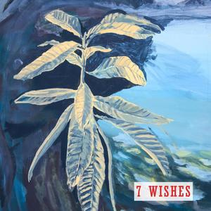 7 Wishes (feat. Gadi Stern)