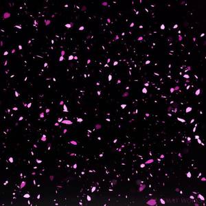 PandaKING-Sakura (McKING Mashup Bootleg) (McKING remix)