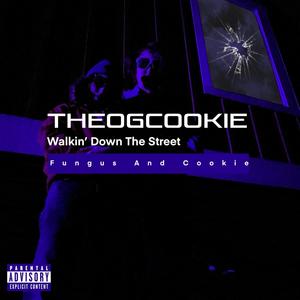 Walkin' Down The Street (feat. Death-Is-Well) [Explicit]