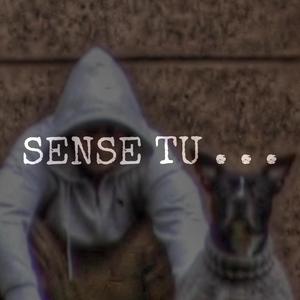 SENSE TU ... (MAQO Freestyle 5) (Explicit)