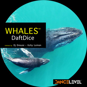 Whales (Itchy Lemon Remix)