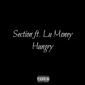 Section (Explicit)