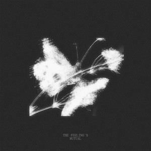 The Feeling's Mutual