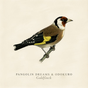 Goldfinch