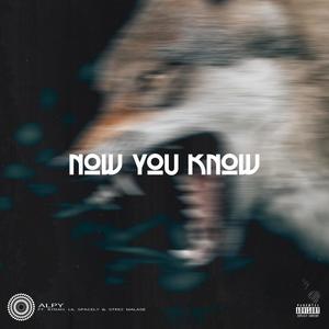 Now You Know (feat. Rydah, Lil Spacely & Steez Malase) (Explicit)