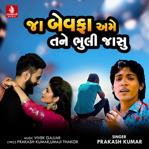 Ja Bewafa Ame Tane Bhooli Jasu - Single