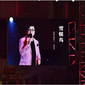 雪候鸟