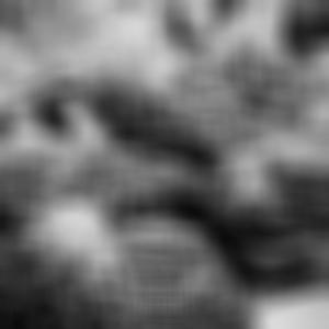 Fed (feat. LilChuck) (Explicit)