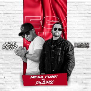 MEGA FUNK DOS SOLTEIROS (feat. DJ PEDRO MARTINS) (Explicit)