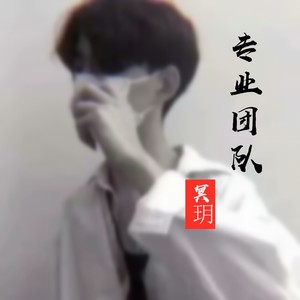 专业团队