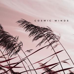 Cosmic Winds