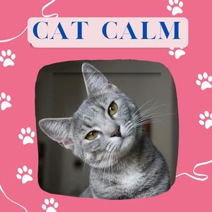 Cat calm (music for cats)