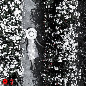 Lying to Me (feat. Cymatics) (Radio Edit)