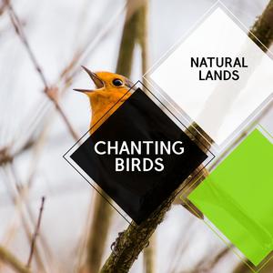 Chanting Birds - Natural Lands